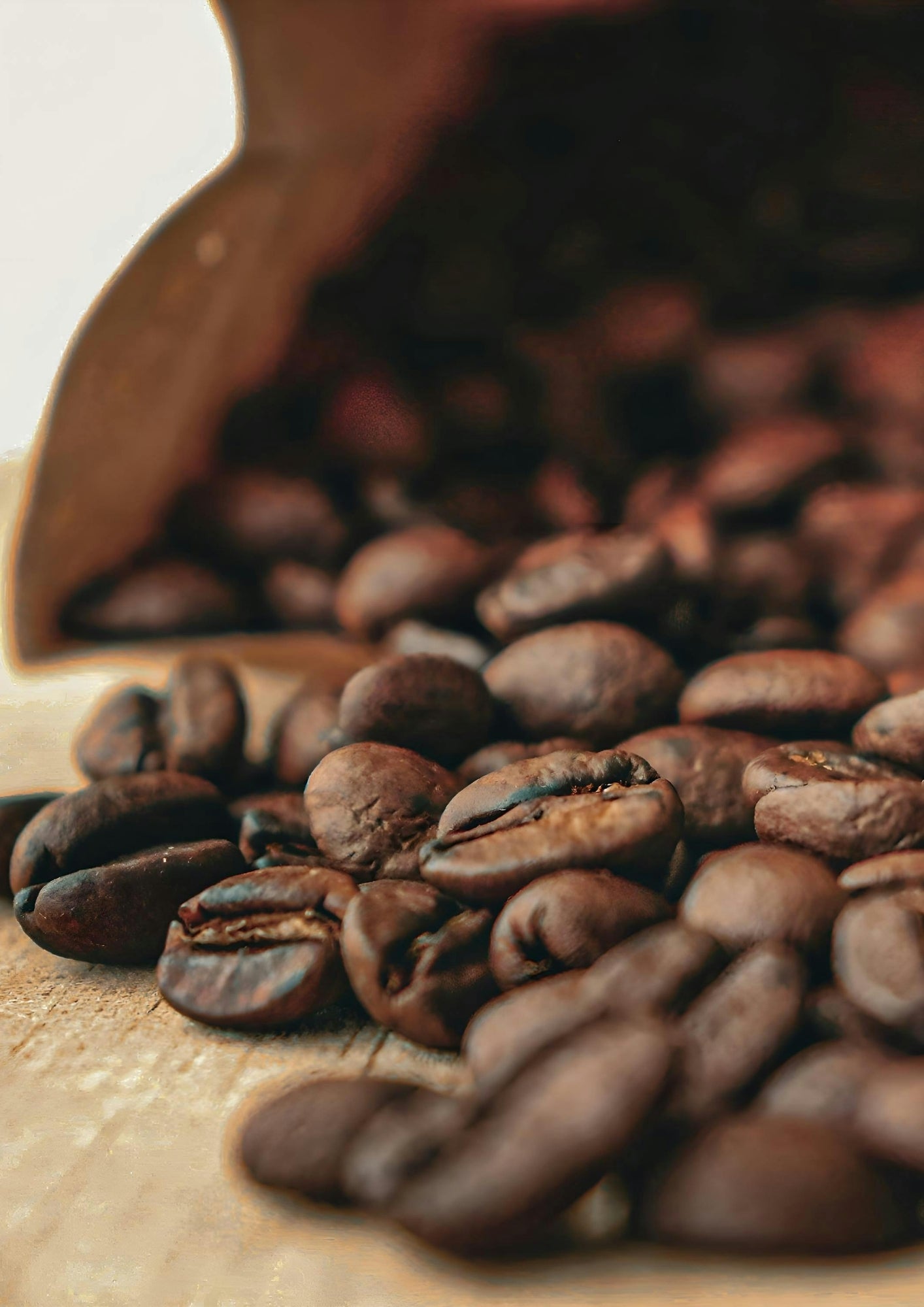 Granos de café en distintos niveles de tueste